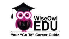 WiseOwlEdu – Your Go To Career Guide